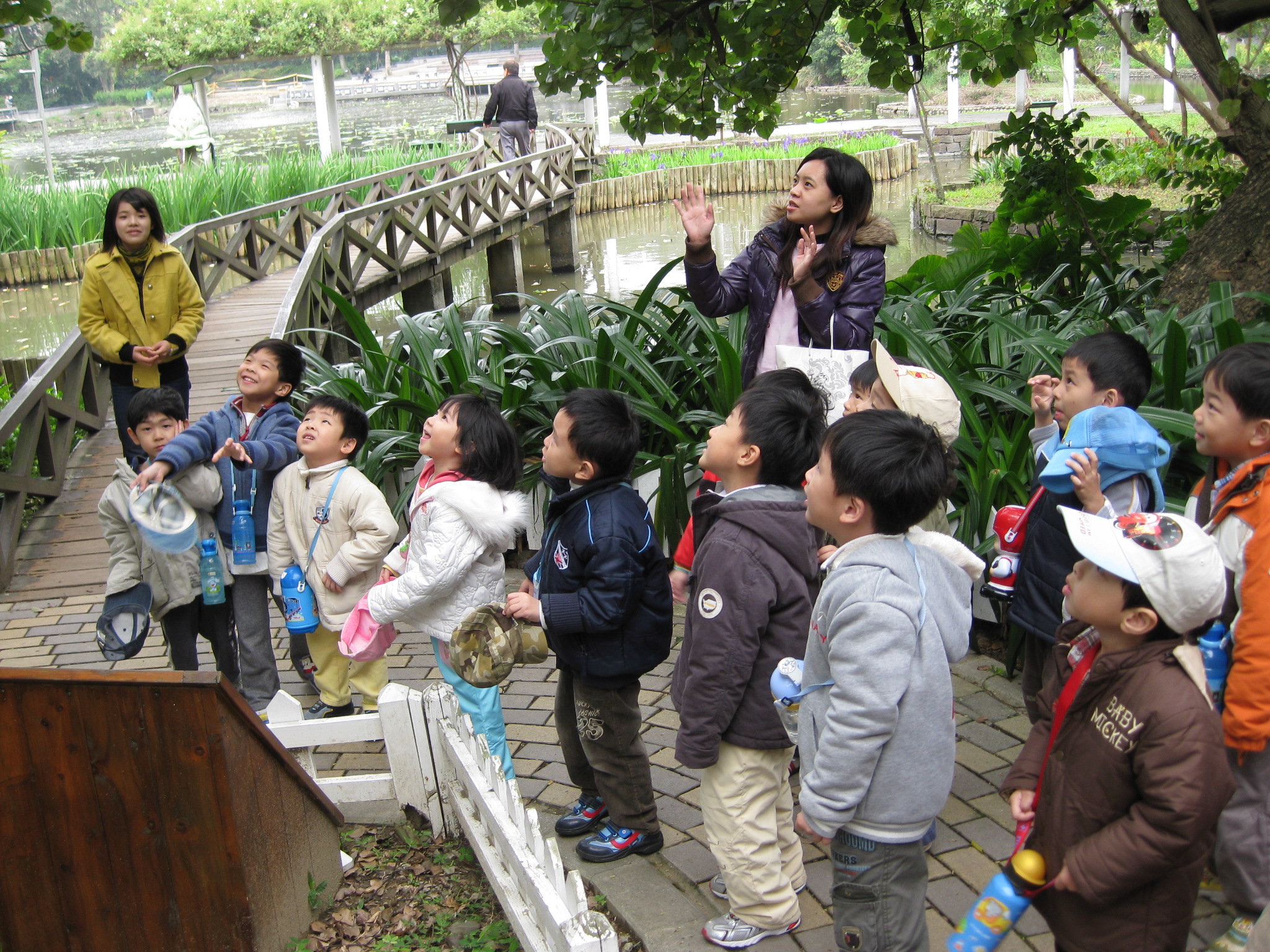 孩子們在公園戶外教學時抬頭看樹上的景象